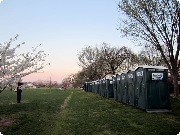 cherry blossom 10 miler 