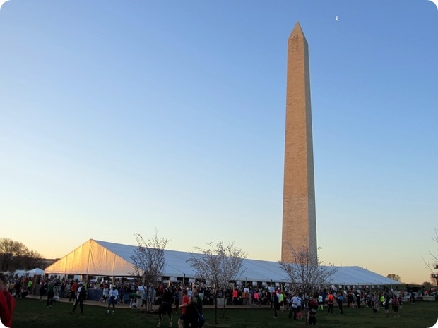 cherry blossom 10 miler 2015