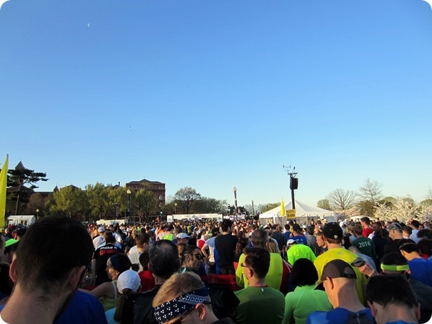 cherry blossom 10 miler 2015