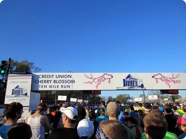 cherry blossom 10 miler 2015