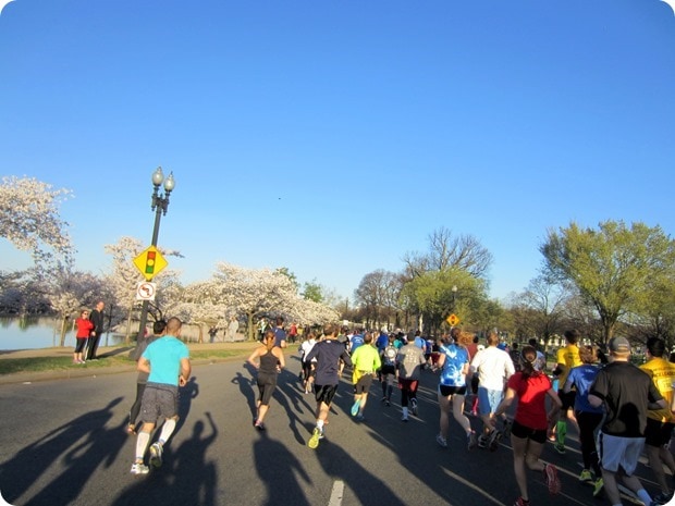 cherry blossom 10 miler 2015