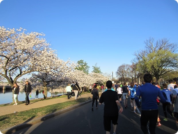 cherry blossom 10 miler 2015