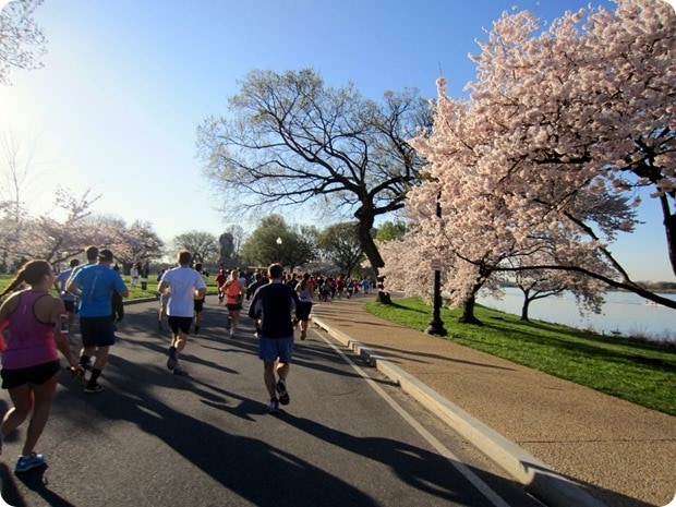 cherry blossom 10 miler 2015