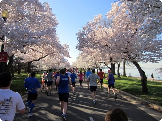 cherry blossom 10 miler 2015