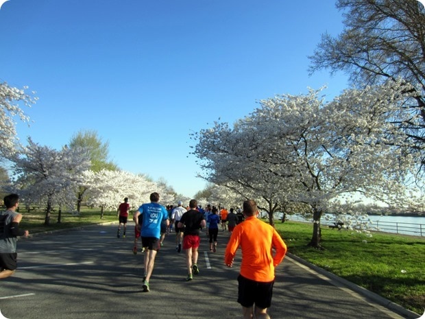 cherry blossom 10 miler 2015