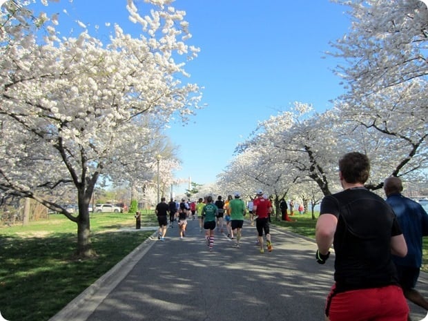 cherry blossom 10 miler 2015