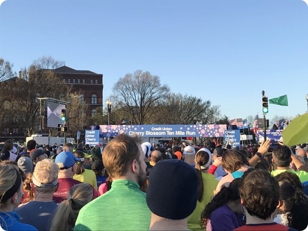 cherry blossom 10 miler 2017