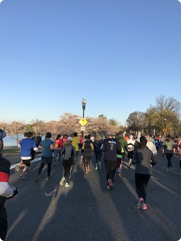 cherry blossom 10 miler 2017