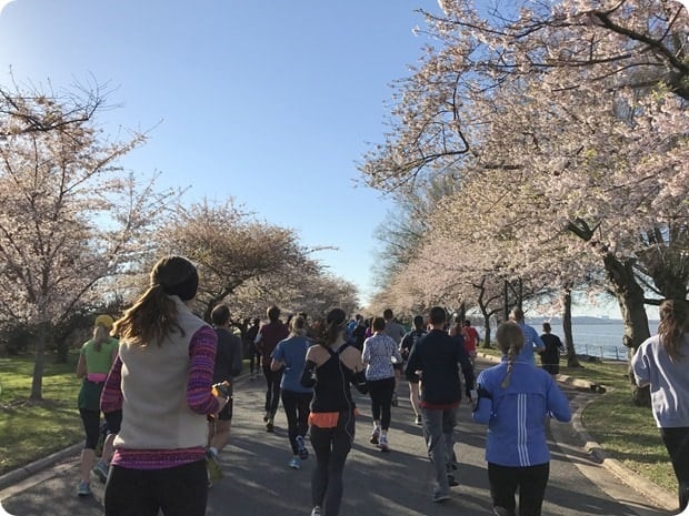 cherry blossom 10 miler 2017