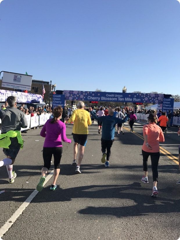 cherry blossom 10 miler 2017 race