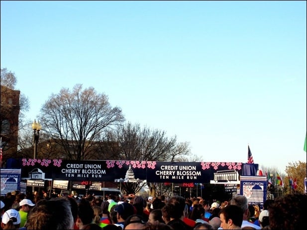 cherry blossom ten miler