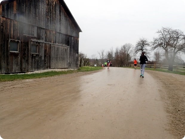 middlebury maple run scenery