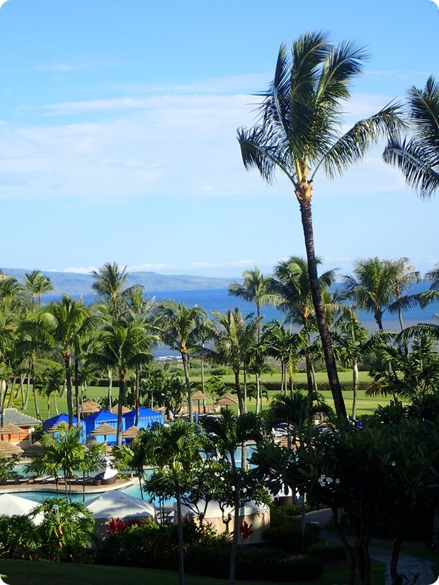 ritz carlton kapalua maui