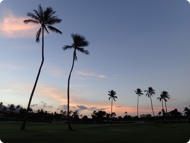 maui 10k start