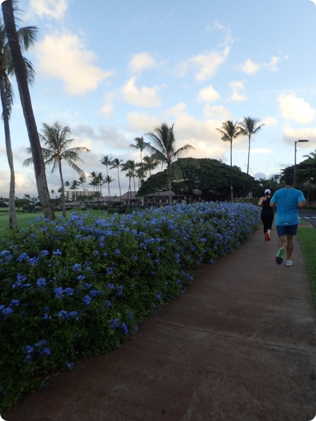 maui slappy cakes 10k