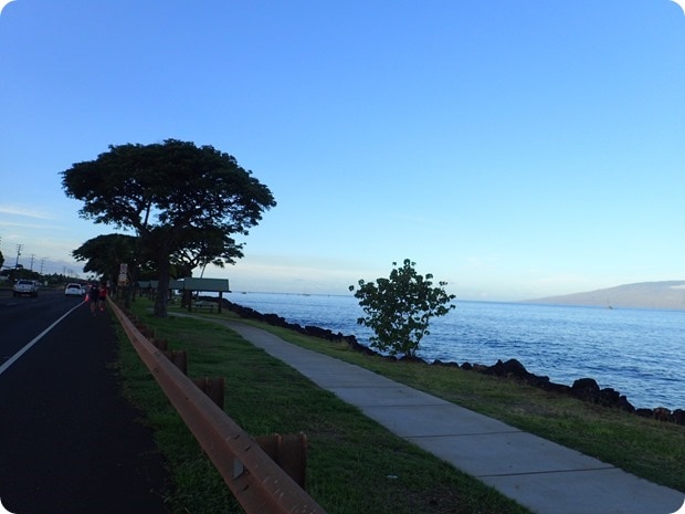 maui slappy cakes 10k course