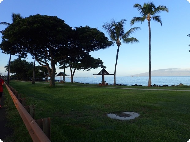 slappy cakes 10k course maui