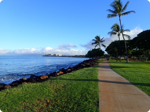 views maui slappy cakes 10k