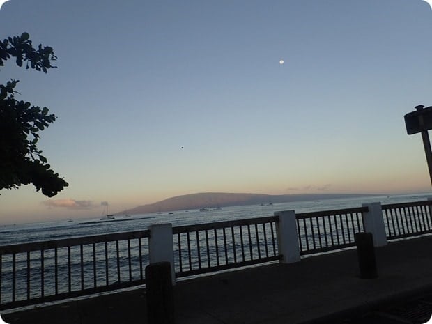 maui half marathon sunrise view