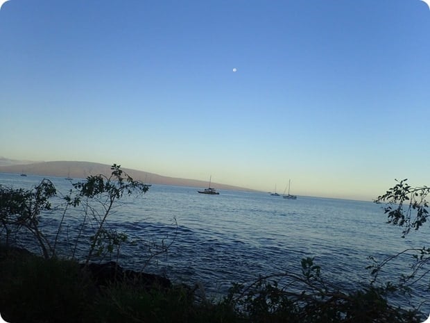 maui half marathon 